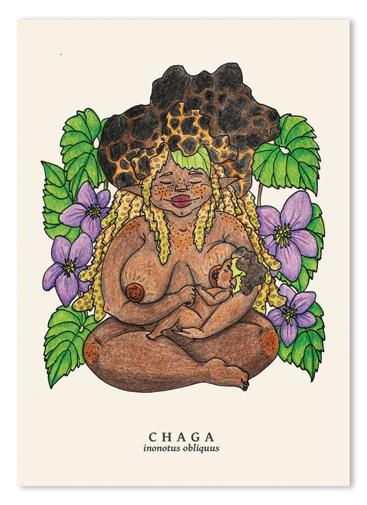 Chaga Breastfeeding Babe